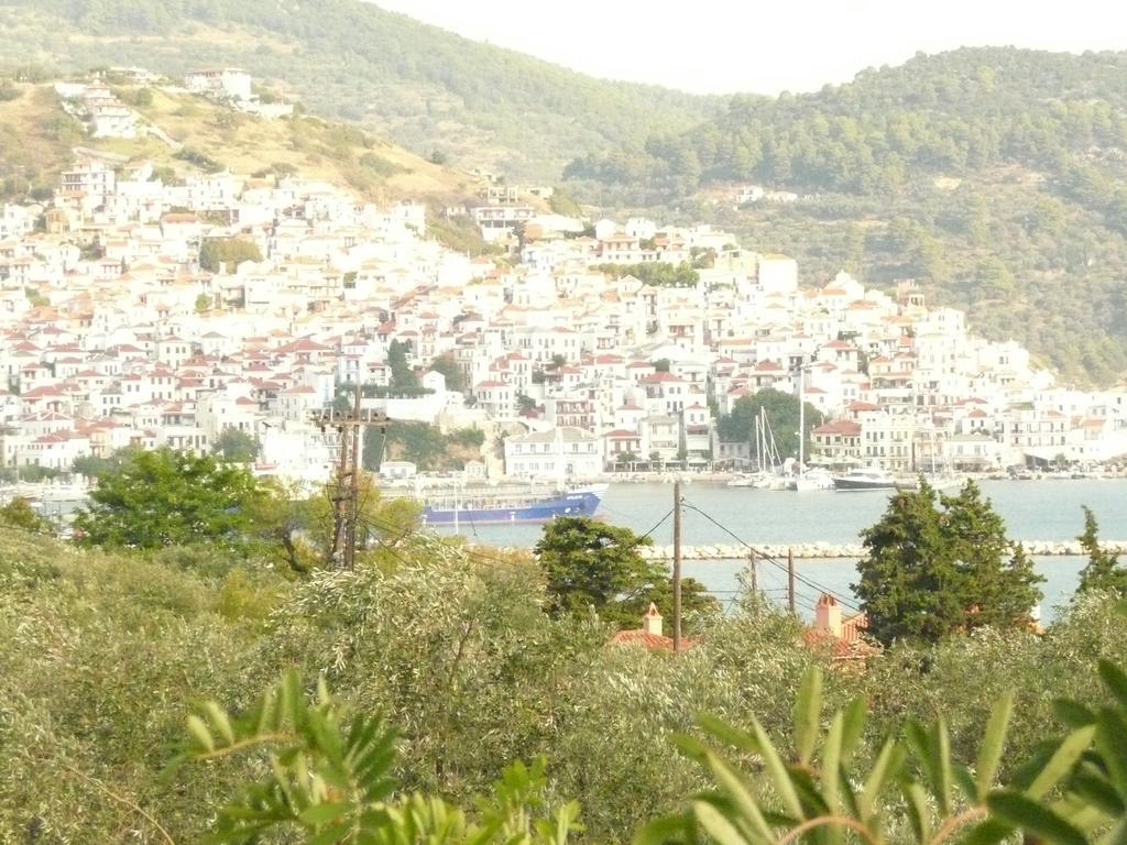 Appartement Filoxenia à Skopelos Extérieur photo